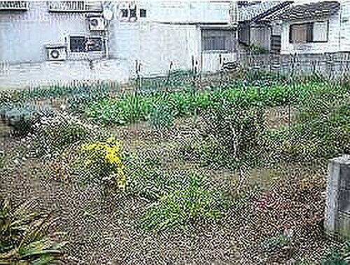 埼玉県南埼玉郡宮代町和戸１丁目 土地