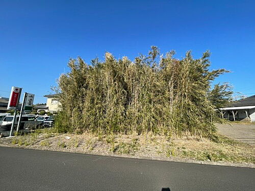 鹿児島県曽於郡大崎町永吉 土地