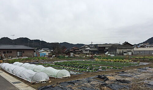 岐阜県山県市岩佐 土地