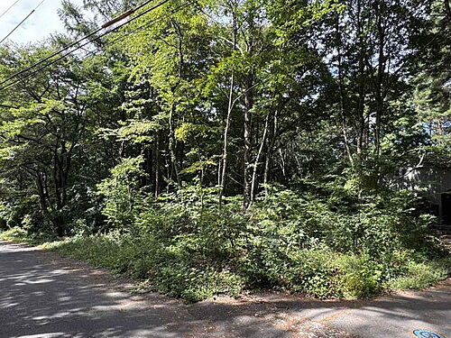 長野県小諸市大字塩野 210万円