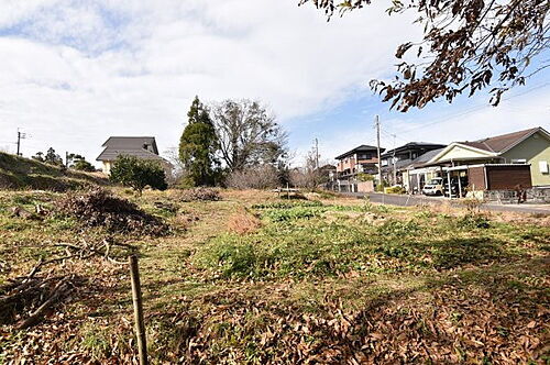 鹿児島県薩摩川内市田崎町 土地