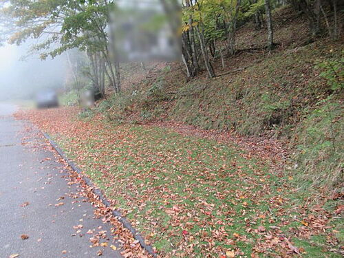 長野県上田市武石小沢根 土地