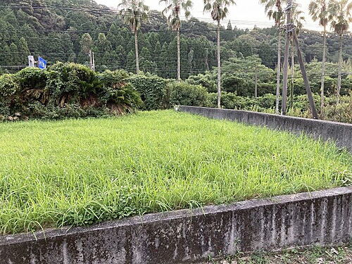 鹿児島県日置市東市来町長里 土地