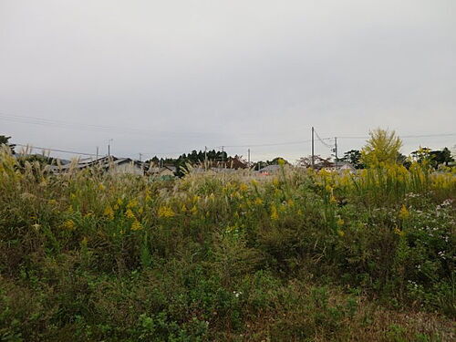 福島県双葉郡富岡町大字仏浜字西原 土地