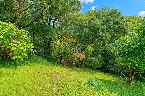 福岡県糟屋郡須惠町大字須惠 土地