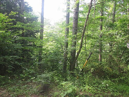 長野県塩尻市大字旧塩尻東山 110万円