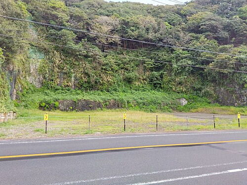 静岡県賀茂郡西伊豆町仁科 土地