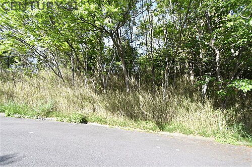 兵庫県西宮市甲陽園目神山町 2680万円