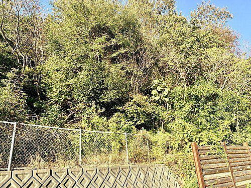 静岡県静岡市葵区大岩３丁目 土地