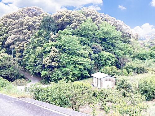 静岡県浜松市浜名区鷲沢町 土地