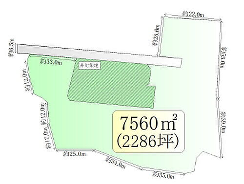 宮城県刈田郡蔵王町大字円田字土浮山 1000万円
