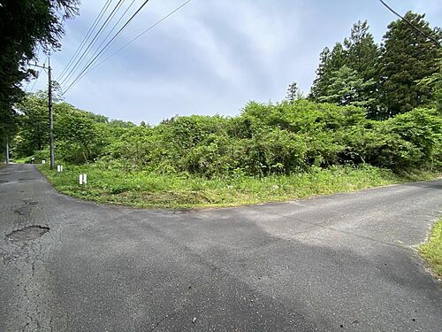 栃木県日光市薄井沢 50万円