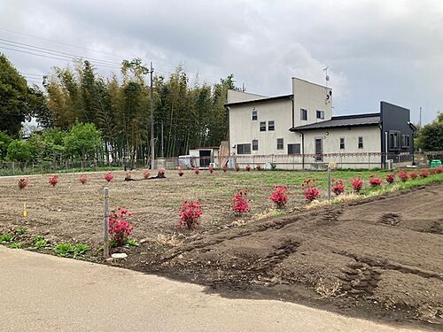 栃木県河内郡上三川町大字西汗 753万円