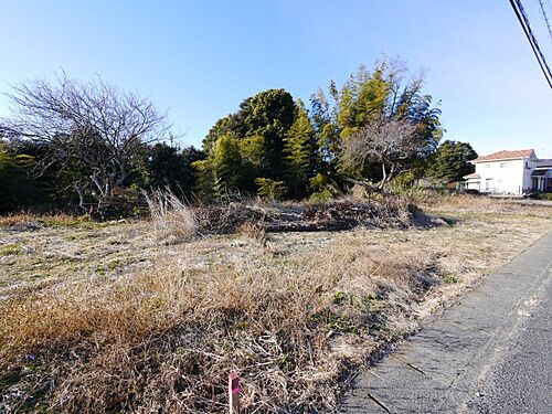 茨城県北茨城市中郷町上桜井 土地