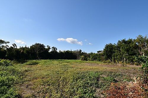 鹿児島県肝属郡南大隅町根占川北 土地