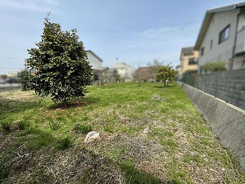 兵庫県揖保郡太子町鵤 土地