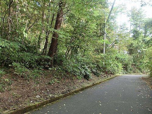 鳥取県西伯郡伯耆町丸山 土地