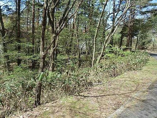 鳥取県西伯郡伯耆町丸山 300万円