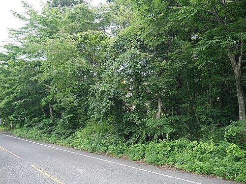 鳥取県西伯郡大山町赤松 土地