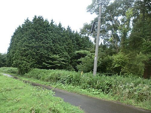 鳥取県西伯郡伯耆町岩立 703.3万円