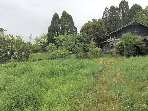 熊本県阿蘇市一の宮町中通 土地