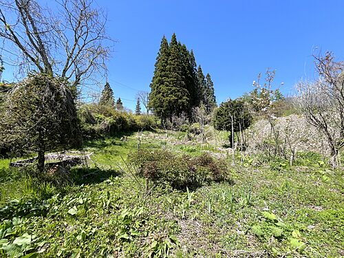 長野県長野市戸隠豊岡 土地