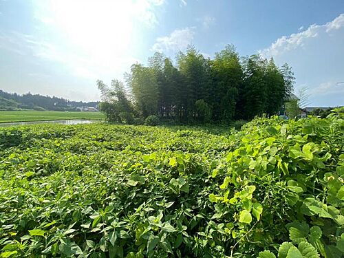 茨城県水戸市内原町 750万円