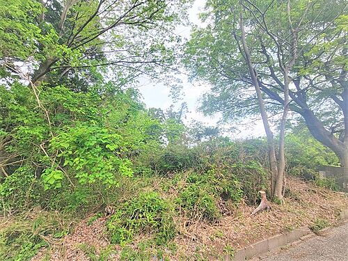 千葉県袖ケ浦市野里 土地