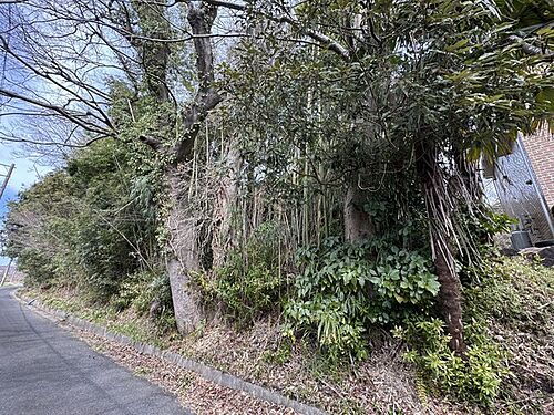 千葉県成田市大竹 土地