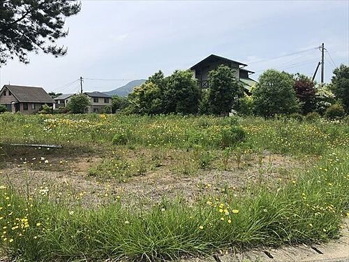 熊本県阿蘇郡南阿蘇村大字河陽 土地