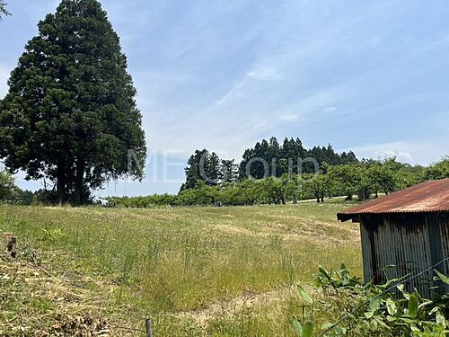 山形県鶴岡市羽黒町川代字川代山 土地