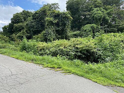 長野県上水内郡信濃町大字大井 土地