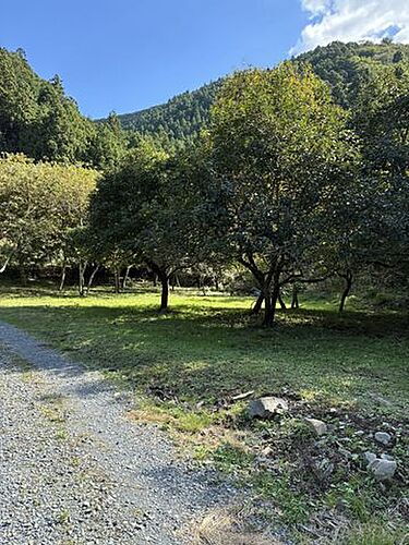 宮城県石巻市成田字前山下 400万円