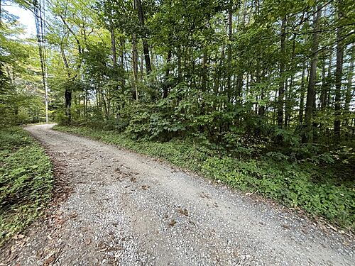 山梨県北杜市大泉町西井出 120万円