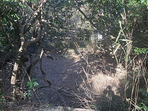 和歌山県日高郡日高町大字阿尾 50万円