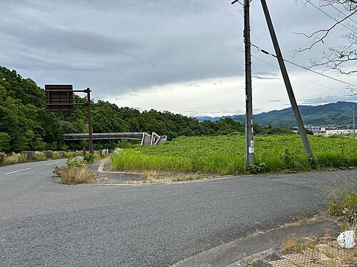 和歌山県橋本市あやの台１丁目 10000万円
