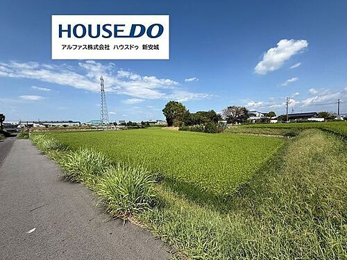 愛知県安城市柿碕町宮ノ西 土地