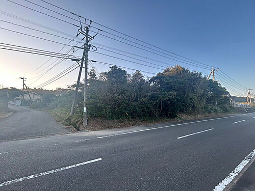 宮崎県児湯郡川南町大字川南 土地