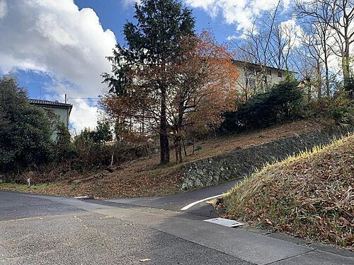 静岡県伊豆市大野 77万円