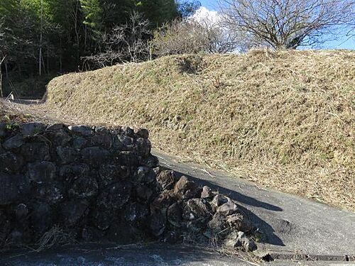静岡県賀茂郡南伊豆町加納 土地