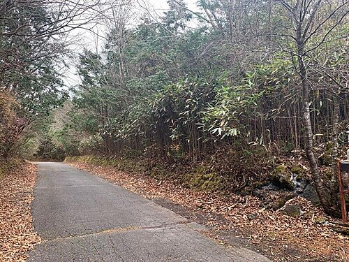 静岡県裾野市須山 50万円