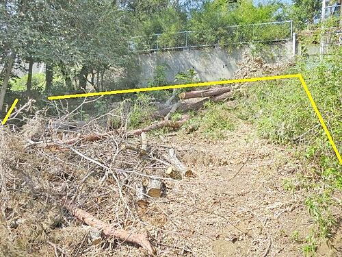 静岡県伊豆市熊坂 土地