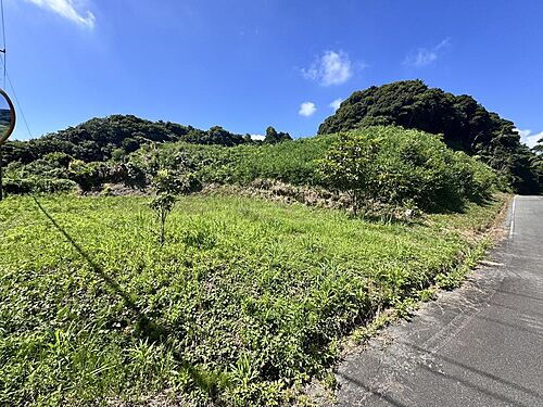 静岡県御前崎市比木 土地