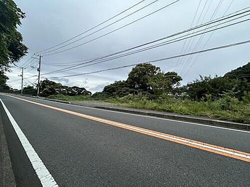 静岡県賀茂郡東伊豆町稲取 土地