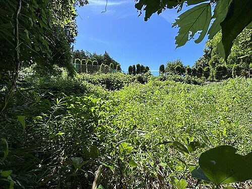 静岡県賀茂郡東伊豆町奈良本 土地