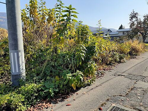 山形県村山市楯岡荒町２丁目 990万円