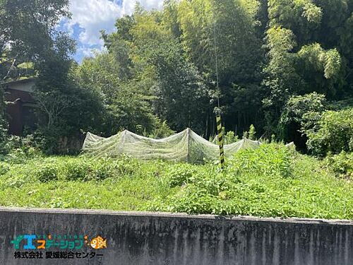 愛媛県今治市長沢 土地