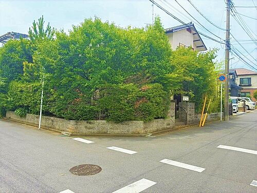 千葉県松戸市八ケ崎６丁目 土地