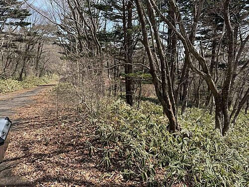 栃木県那須郡那須町大字高久乙 土地