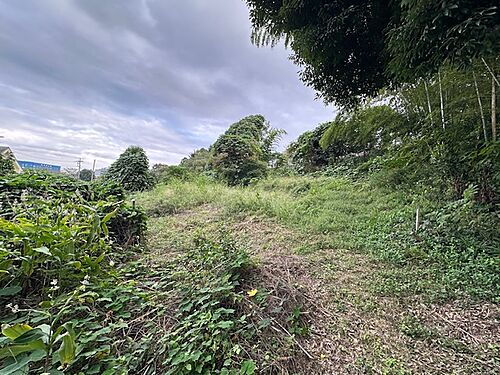 東京都西多摩郡日の出町大字平井 土地